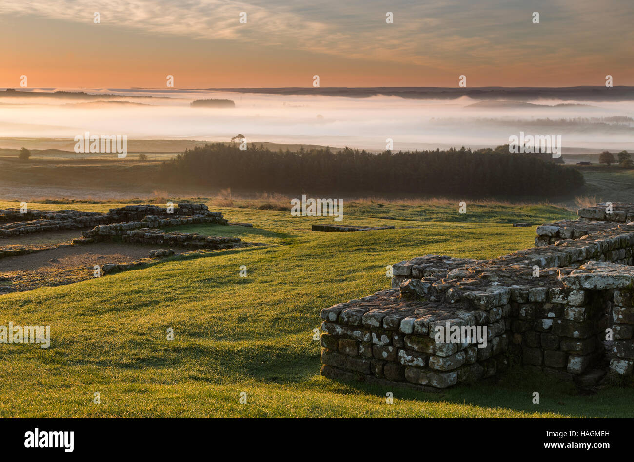 L'aube, le brouillard de faible altitude au Fort romain de Housesteads, mur d'Hadrien, Northumberland, England Banque D'Images