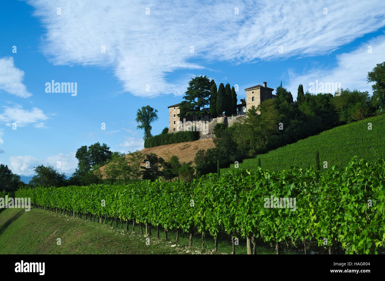Vue d'été de la cité médiévale, château de Trussio Cormons, Friuli, Italie Banque D'Images