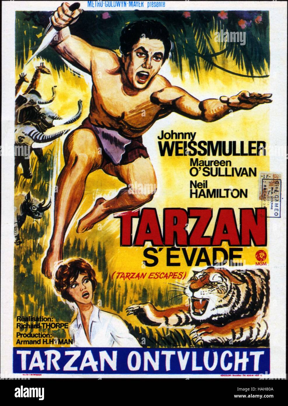 Tarzan Escapes Année : 1936 USA Réalisation : Richard Thorpe Movie poster (Fr) Banque D'Images