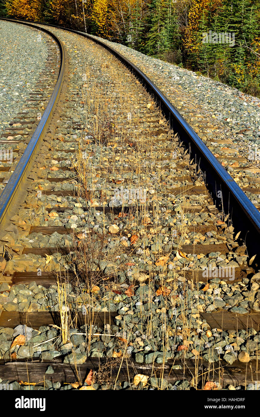 Une image verticale d'une ligne de chemin de fer l'arrondissement une courbe sur un tronçon de voie rurale en Alberta au Canada. Banque D'Images