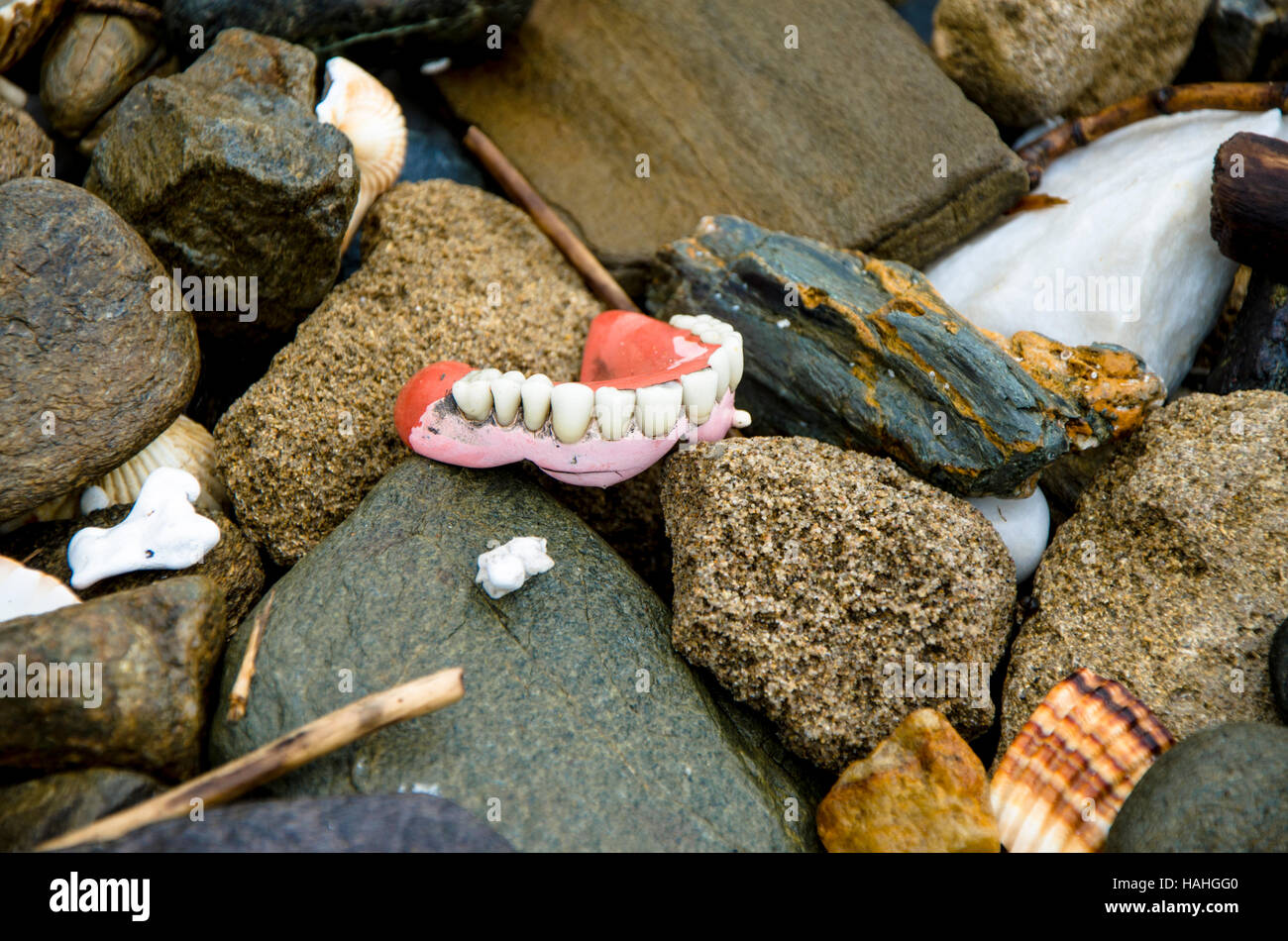 Les fausses dents amovibles Prothèses lavés sur plage. Banque D'Images