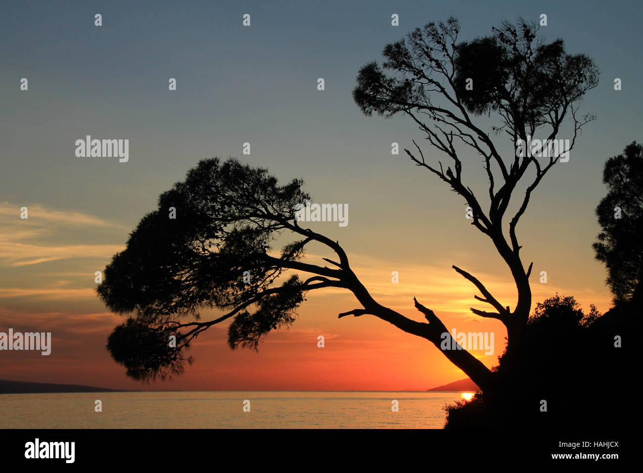 Rock Island au coucher du soleil dans les petites ville méditerranéenne , Brela Croatie Banque D'Images