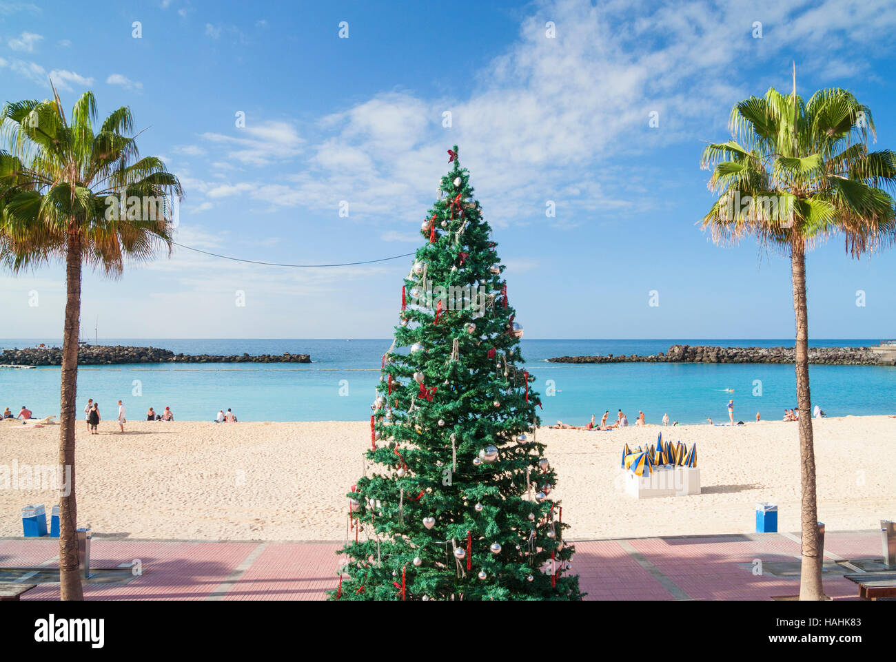 Arbre de Noël sur la plage à Playa de Amadores sur Gran Canaria, Îles Canaries, Espagne Banque D'Images