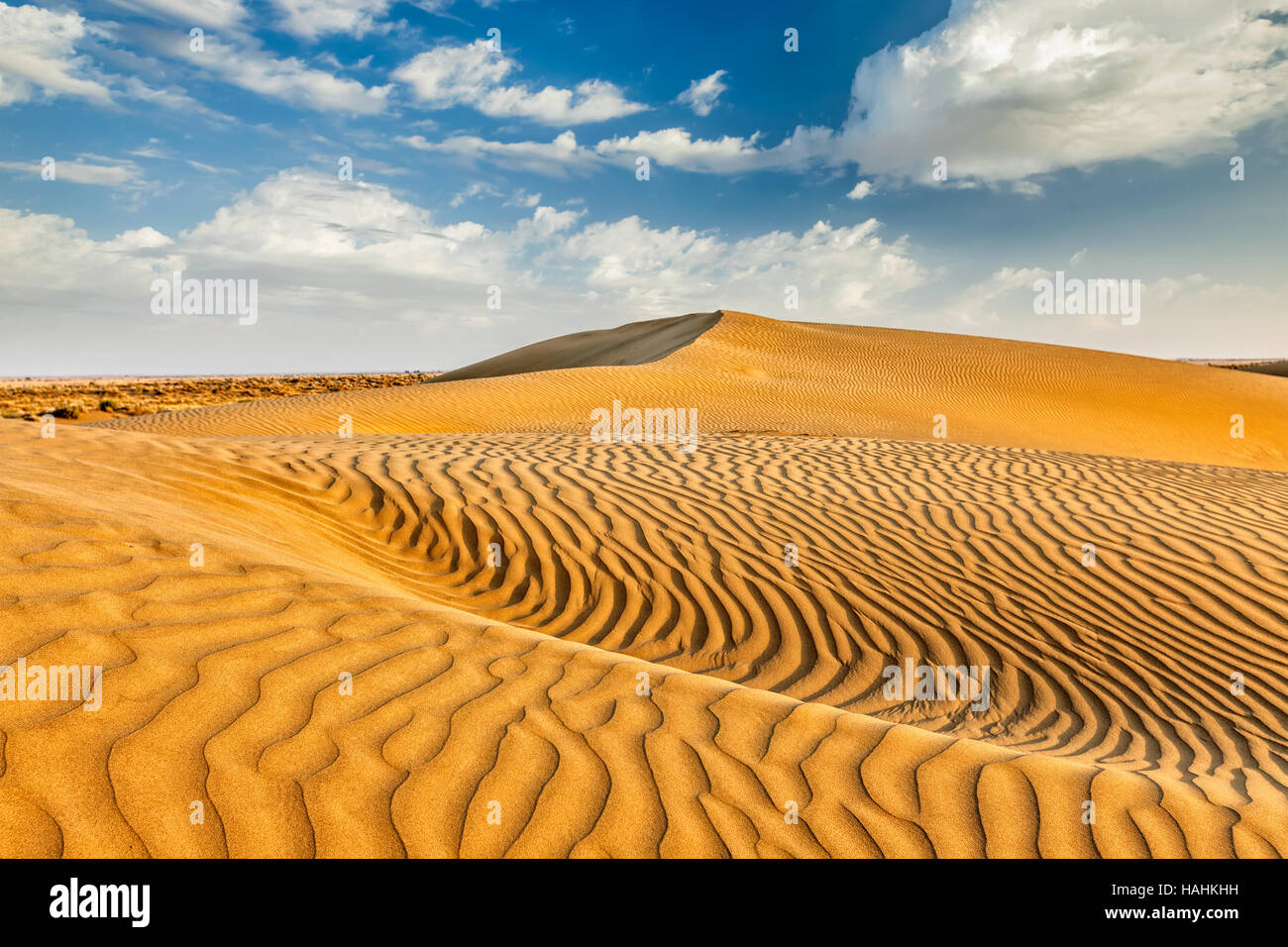 Sand dunes in desert Banque D'Images