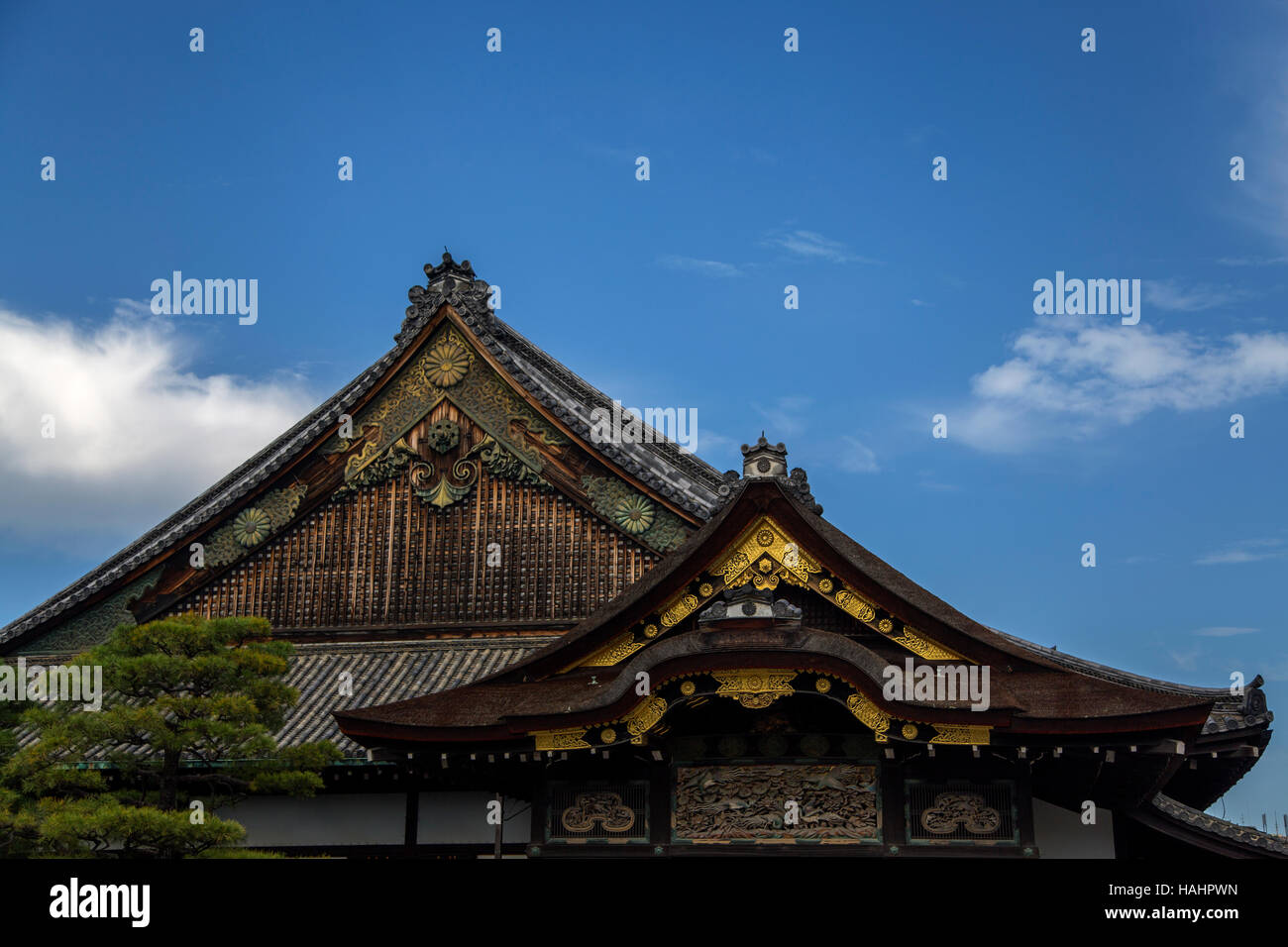 Détail de Ninomaru Palace au château de Nijo à Kyoto, Japon Banque D'Images