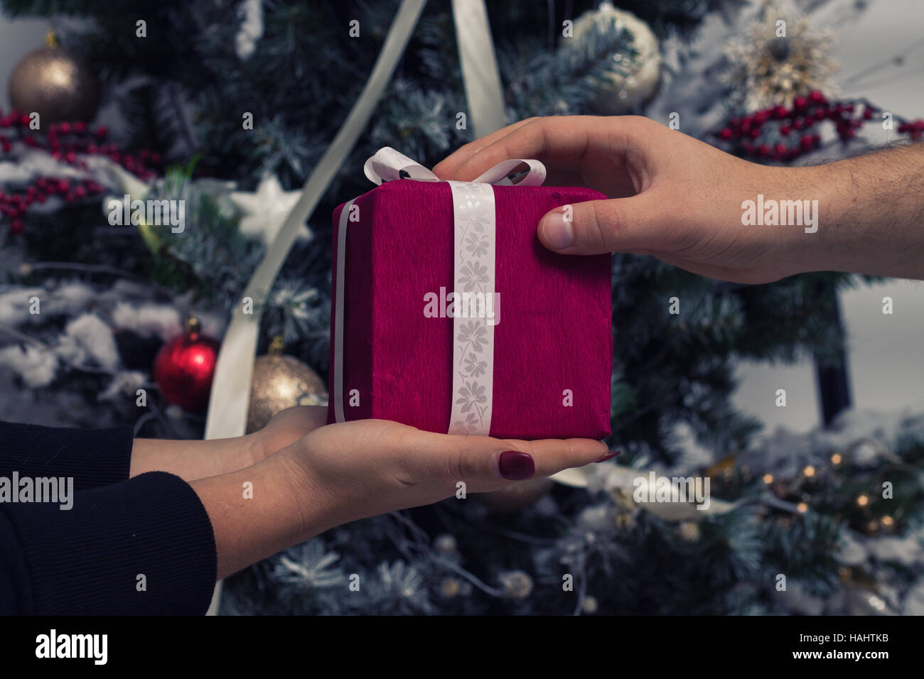 Les mains de l'homme donner un cadeau de Noël à petite amie. Decorated Christmas Tree on background Banque D'Images
