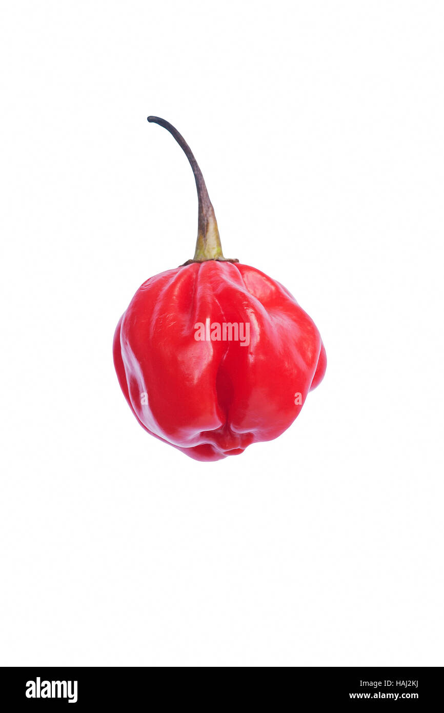 Piment de la Jamaïque Banque D'Images