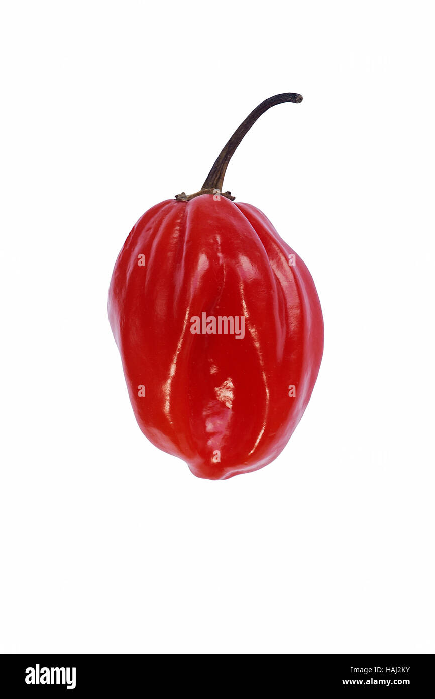 Piment de la Jamaïque Banque D'Images