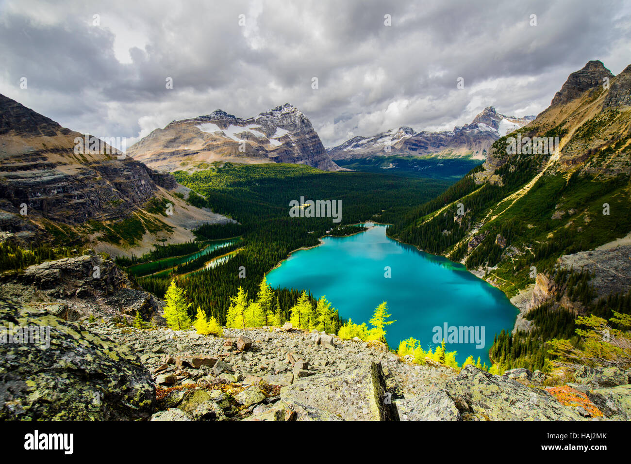 Lake o ' Hara Banque D'Images