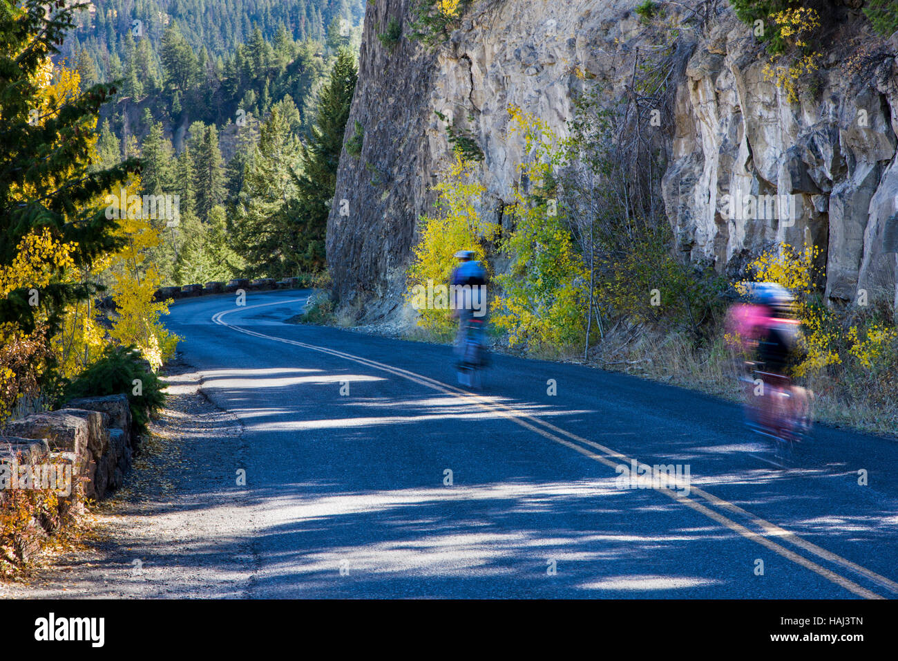 Deux cyclistes roulent Chittenden Road près de Tower Falls, parc national de Yellowstone, Wyoming, USA Banque D'Images