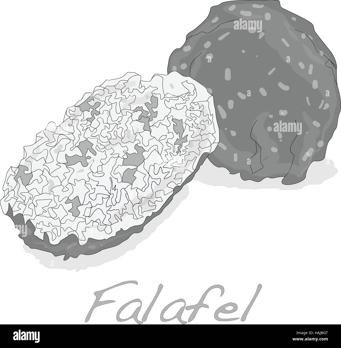 Boules de falafel vector isolé sur fond blanc Illustration de Vecteur