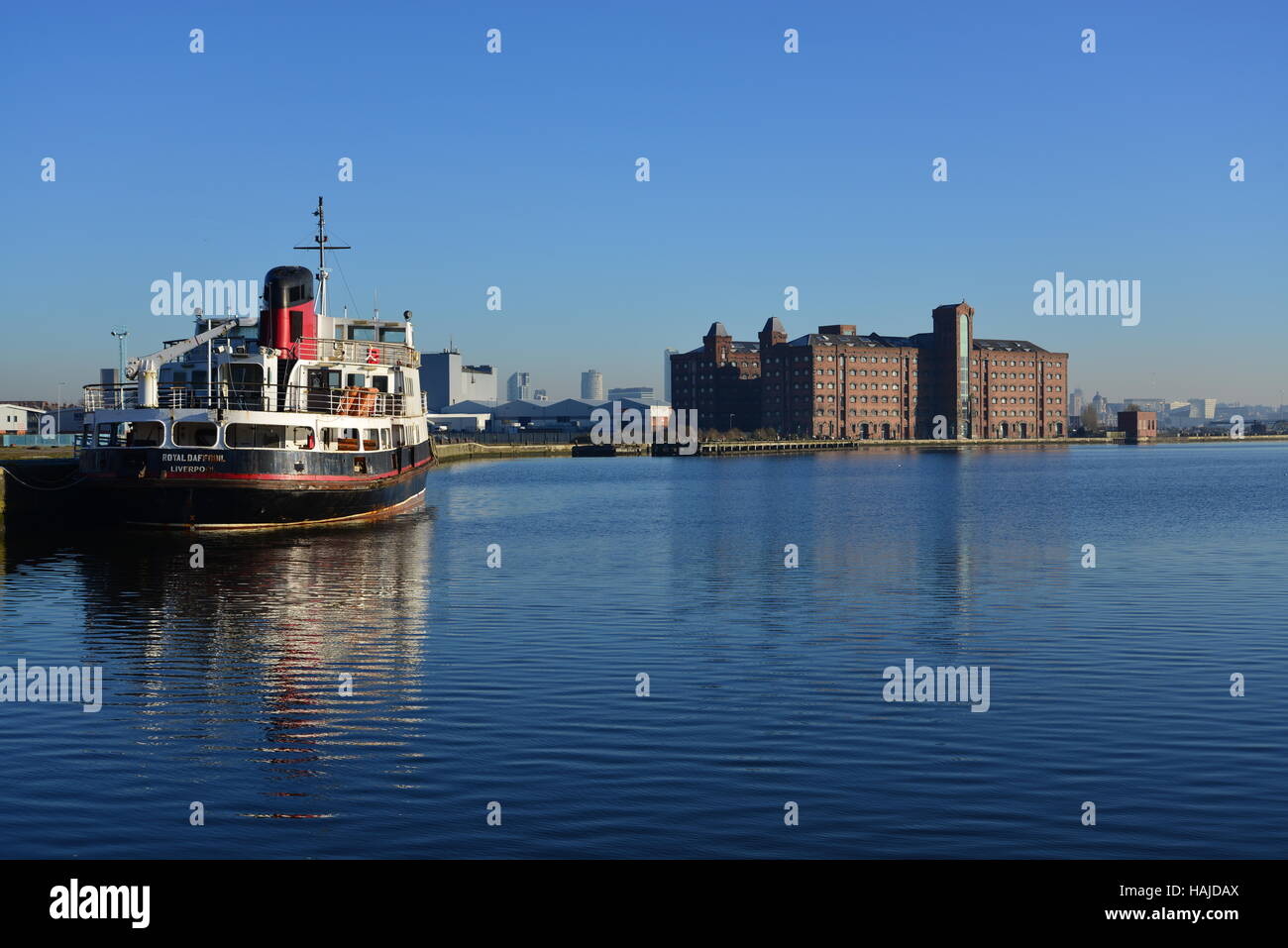 UK, Merseyside, Wirral, Birkenhead Docks, East Float, Mersey Ferry, jonquille royale Banque D'Images