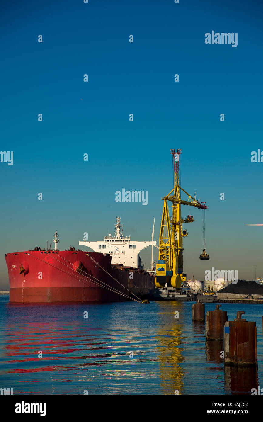 Déchargement des navires en vrac dans le port d'amsterdam de charbon Banque D'Images