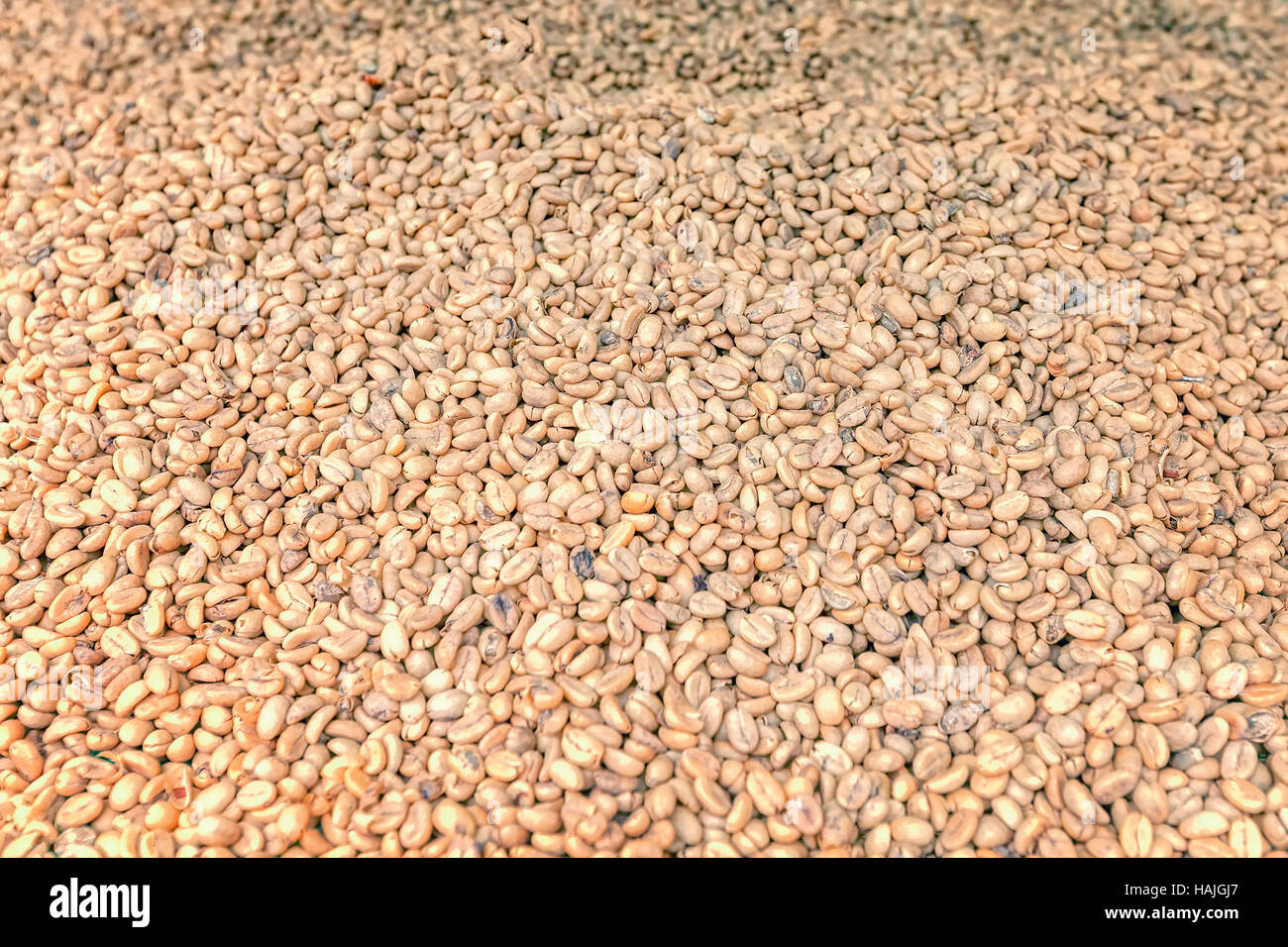 Vue rapprochée de l'arrière-plan, les grains de café brut Banque D'Images