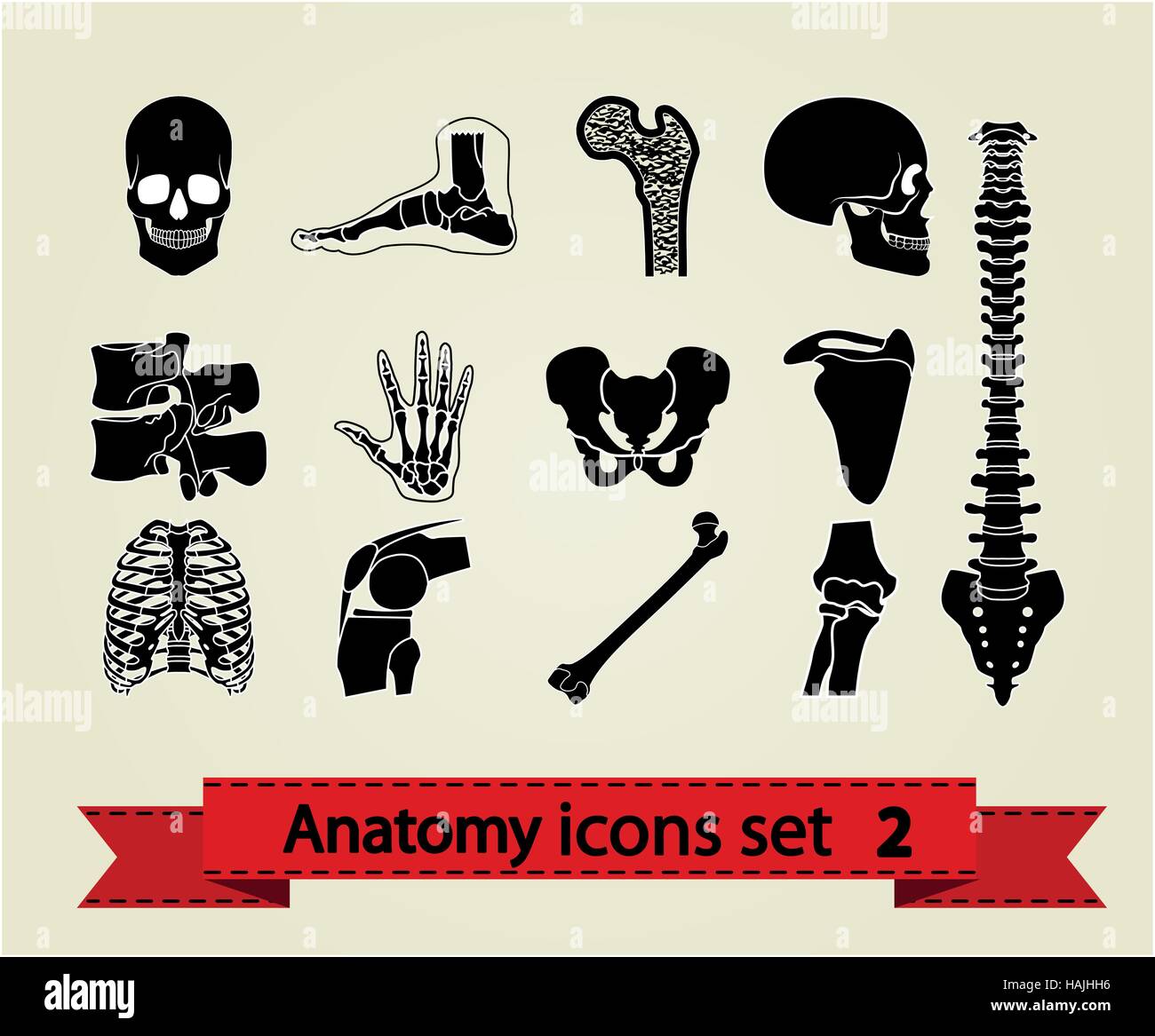 Les icônes de l'anatomie humaine. Illustration vecteur eps 8. Illustration de Vecteur