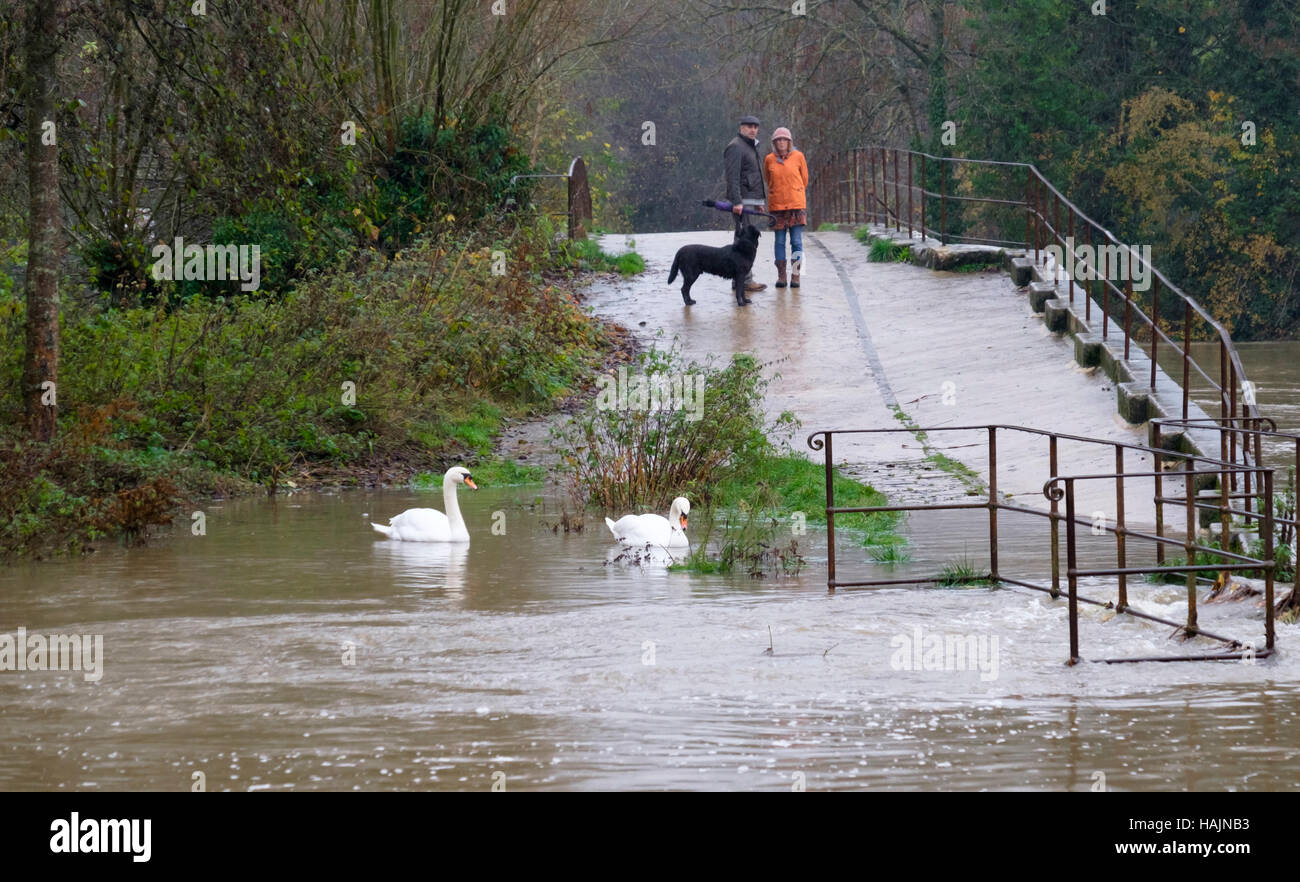 Les inondations à Bradford on Avon Wiltshire England UK Banque D'Images