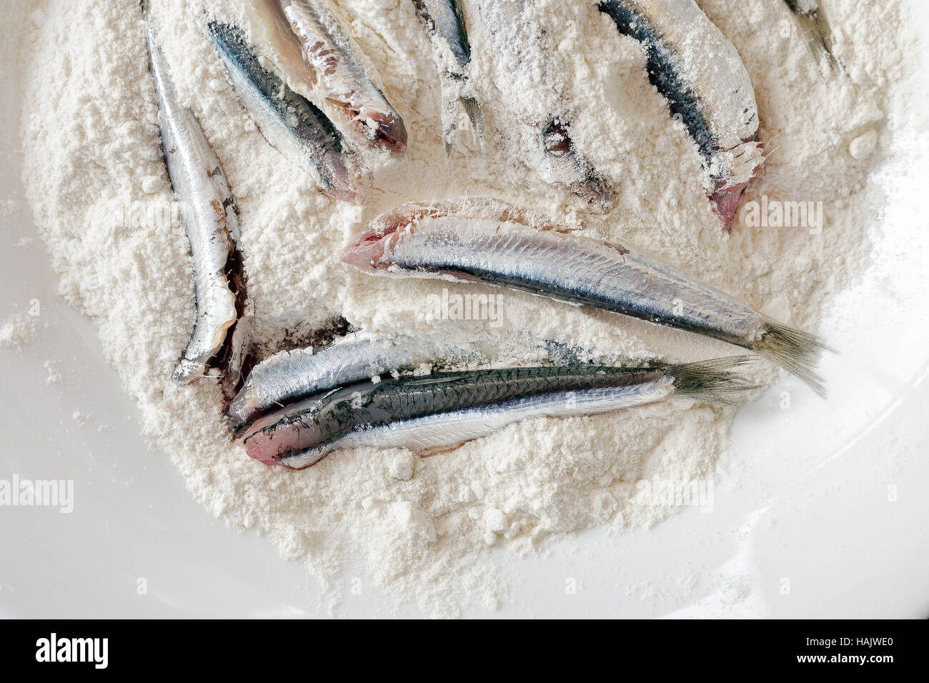 Anchois panés, propre et prêt à être cuisiné. L'anchois dans le plat rempli de la farine blanche. Frire dans l'huile. Banque D'Images