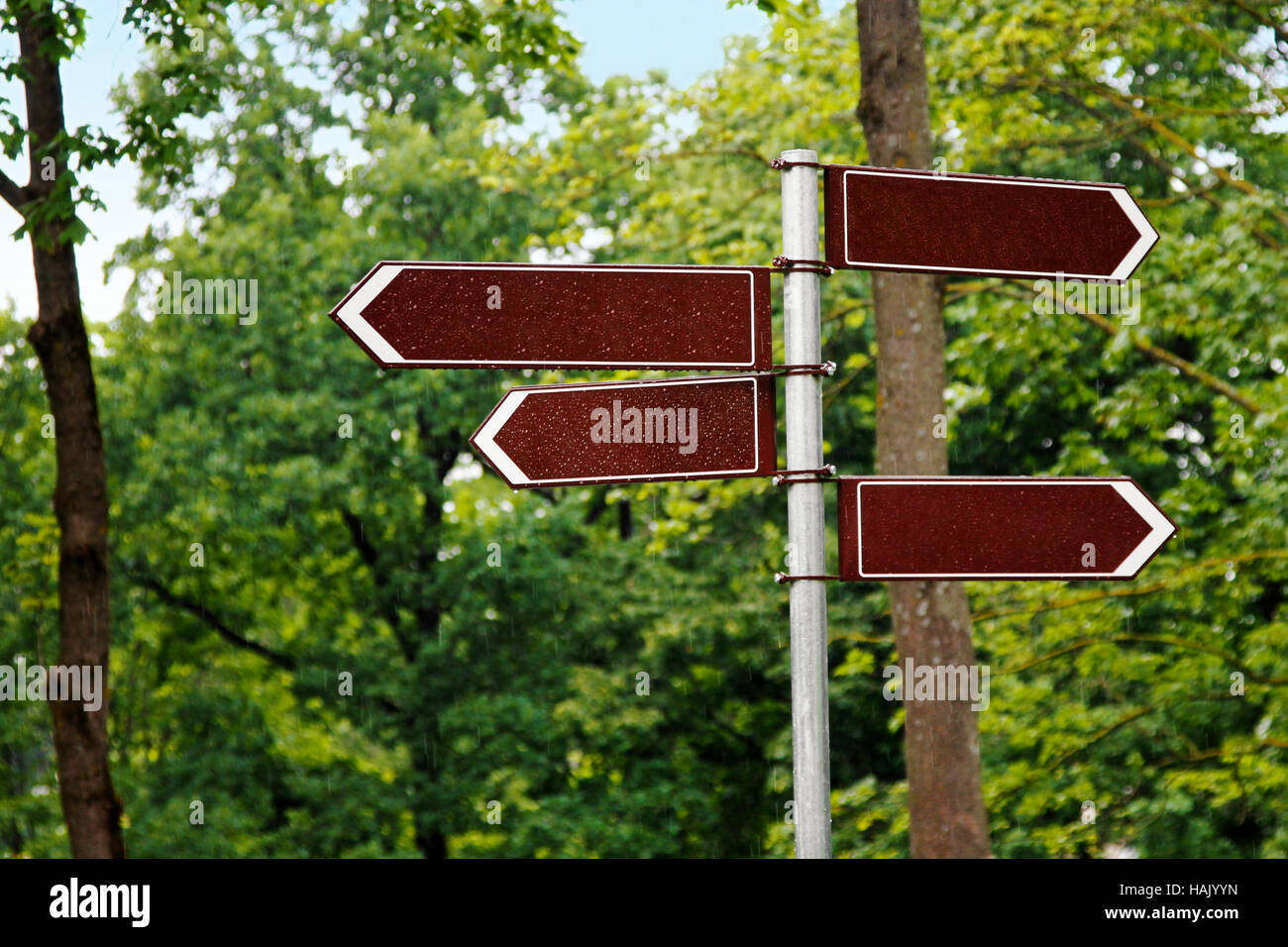 Des panneaux de direction façon vierge sur fond de l'arbre vert Banque D'Images