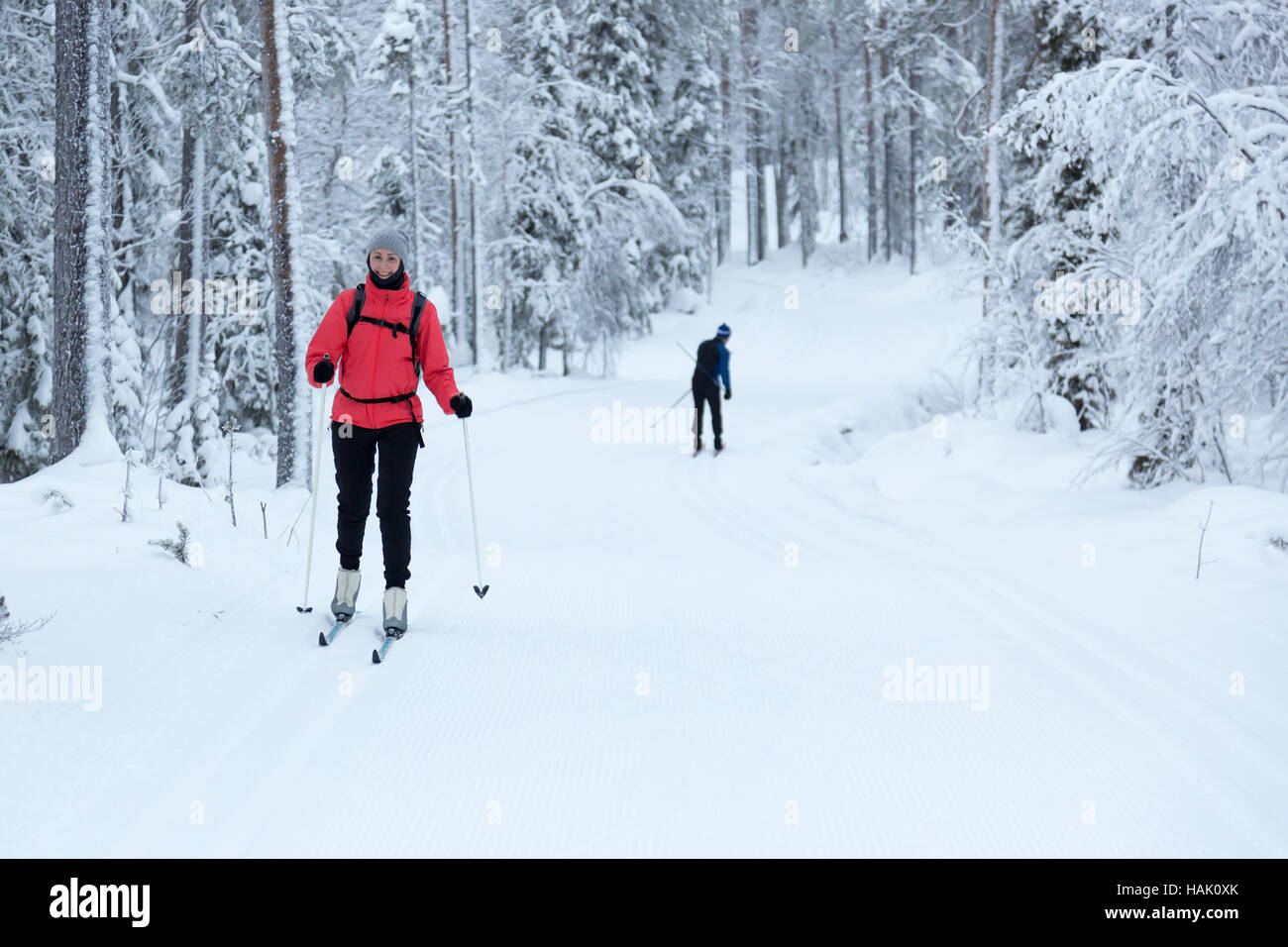 Femme ski de fond dans la forêt enneigée Banque D'Images