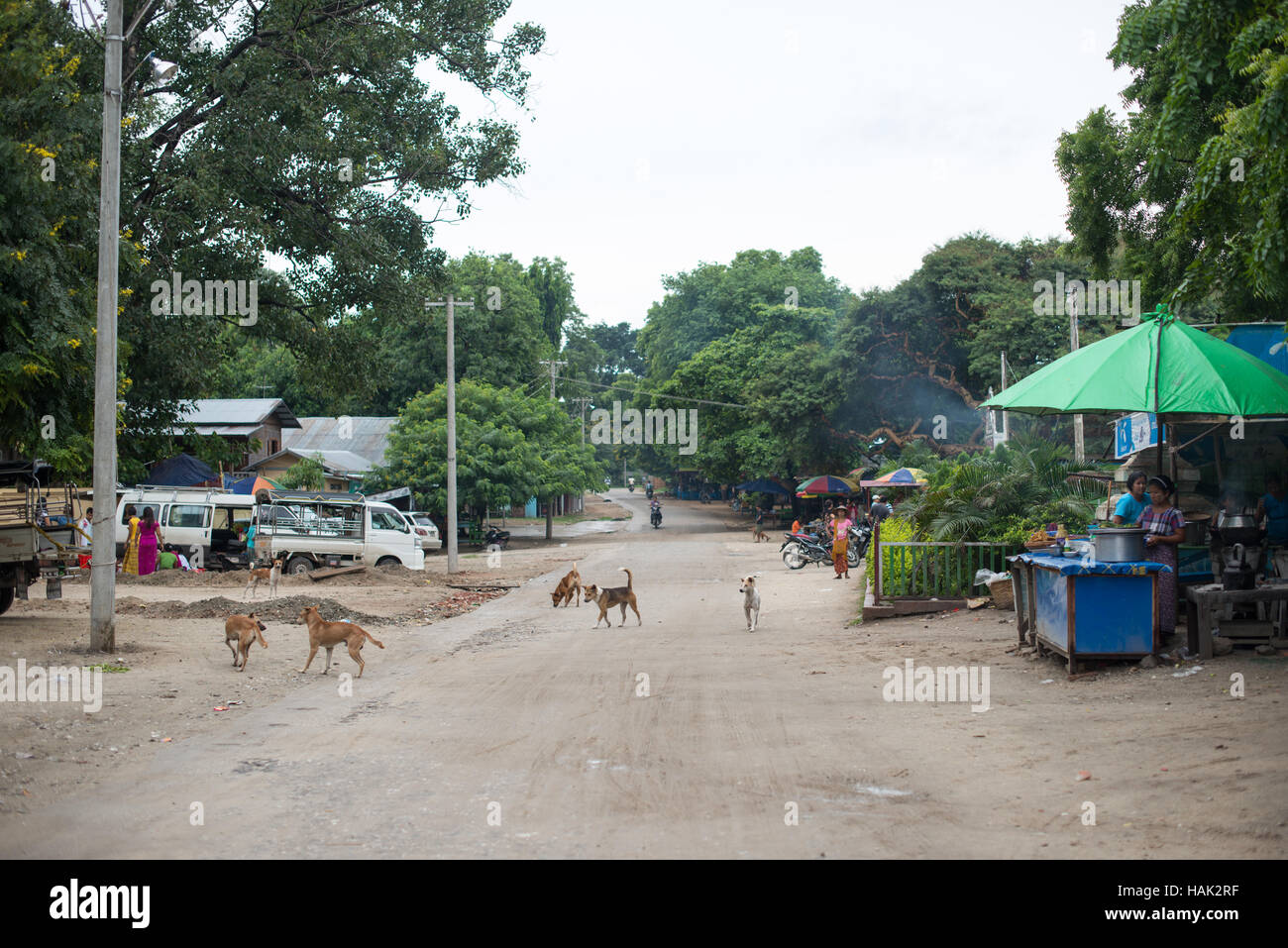 Chiens de rue Mingun Myanmar // MINGUN, Myanmar — les chiens de rue sillonnent l'artère principale de Mingun, une ville située près de Mandalay dans le centre du Myanmar. Mingun est largement connu pour ses monuments bouddhistes importants, y compris l'énorme cloche de Mingun et la pagode inachevée (également connue sous le nom de Pahtodawgyi). La cloche de Mingun, coulée en 1808, est parmi les plus grandes cloches fonctionnelles au monde. La pagode inachevée a été commandée par le roi Bodawpaya en 1790 mais n'a jamais été achevée en raison de la mort du roi. La ville est une destination populaire pour les visiteurs explorant les sites culturels et religieux le long Banque D'Images