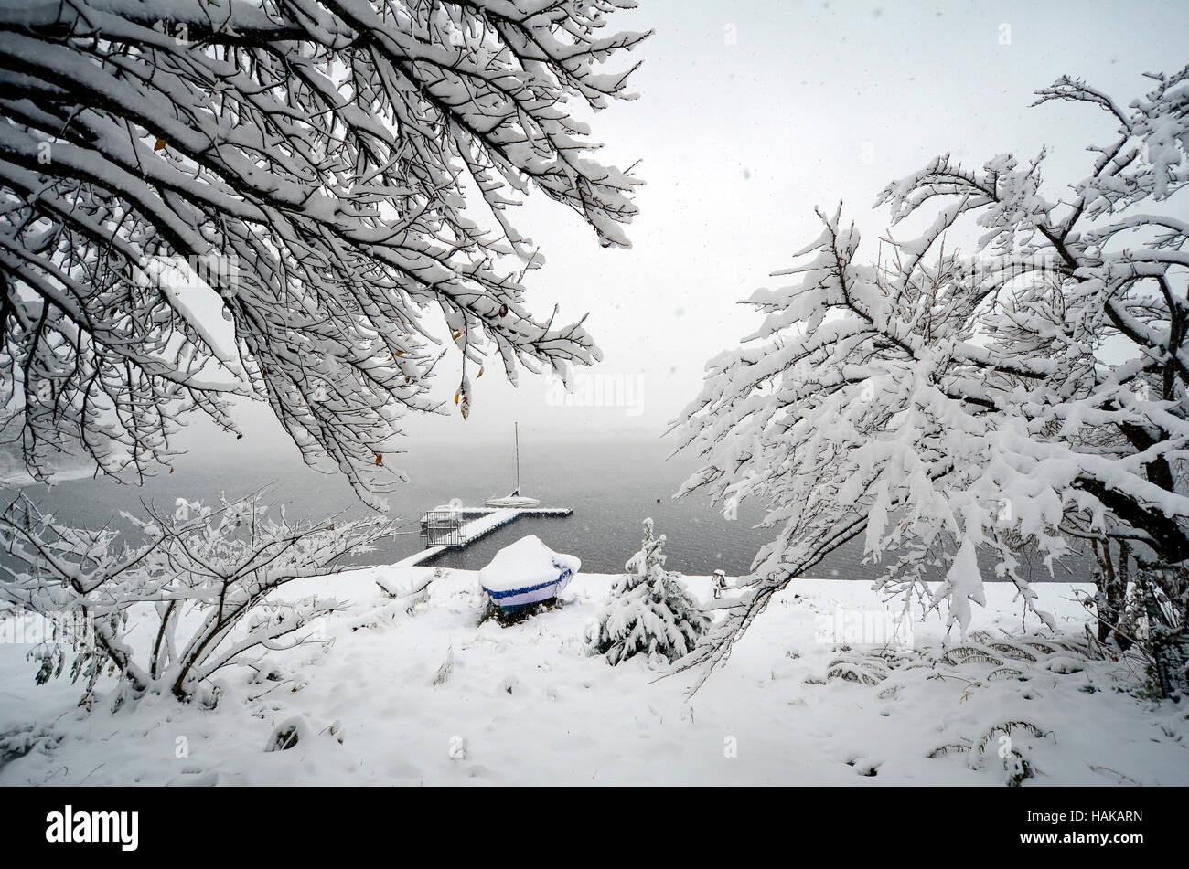 L'hiver à Kawaguchi-ko, le Japon. Première neige en 2016. Banque D'Images