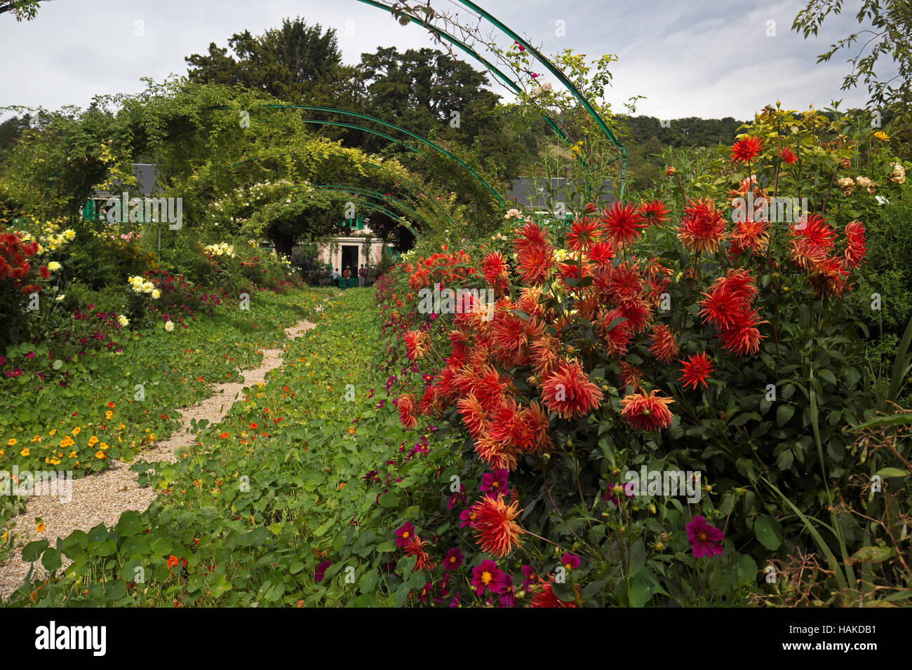 Des fleurs dans le jardin de Monet à Giverney France Banque D'Images