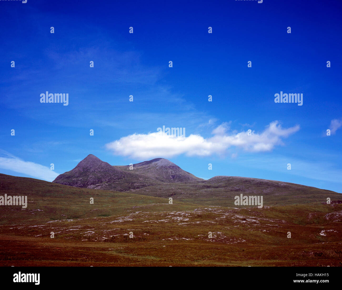 De premier plan cul Mor Knockan Crag Assynt Ecosse Banque D'Images