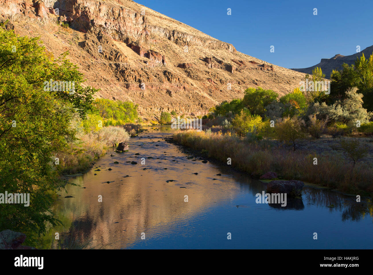 Owyhee River Canyon inférieur, Vale District Bureau de la gestion des terres, de l'Oregon Banque D'Images