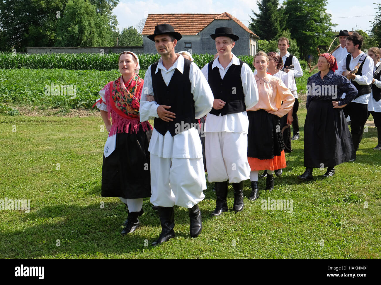 La récolte commence traditionnellement les villageois de l'assemblage, le chant et la danse et la bonne cuisine dans Nedelisce Croatie, Banque D'Images