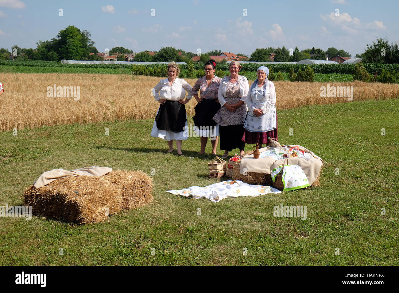 La récolte commence traditionnellement les villageois de l'assemblage, le chant et la danse et la bonne cuisine dans Nedelisce Croatie, Banque D'Images