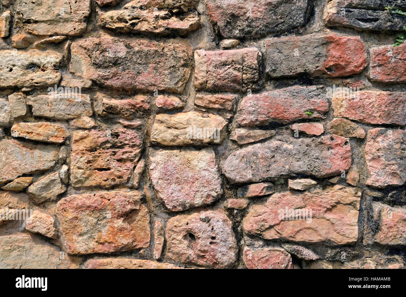 24 structure, mur restauré, Yaxchilan, ancienne cité Maya, Mexique, la rivière Usumacinta. Banque D'Images