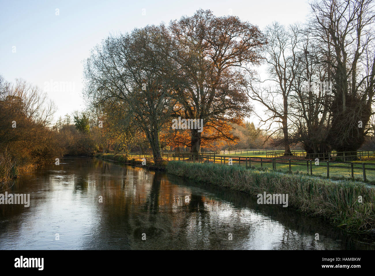 La rivière Test à Longparish, Hampshire, au Royaume-Uni, à l'automne Banque D'Images