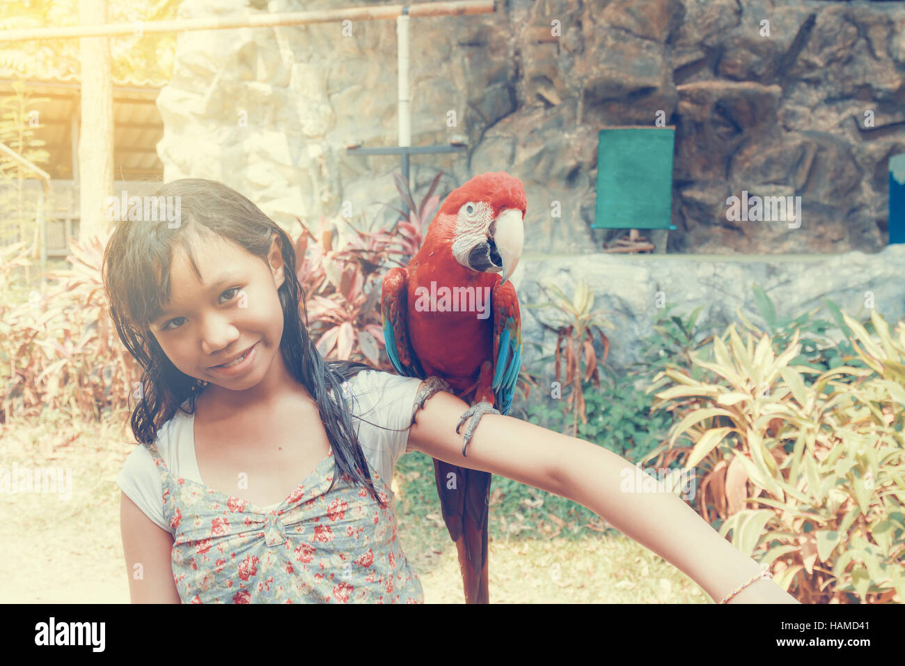 Macaw oiseau sur l'épaule de l'enfant fille Asie Chiang Mai zoo ont soleil toile, Chiang Mai, Thaïlande. Banque D'Images