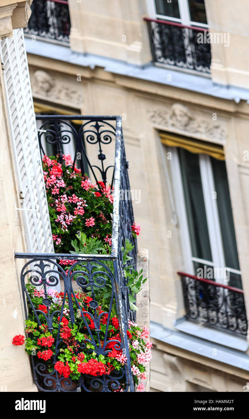 Balcon de fleurs à Paris Banque D'Images