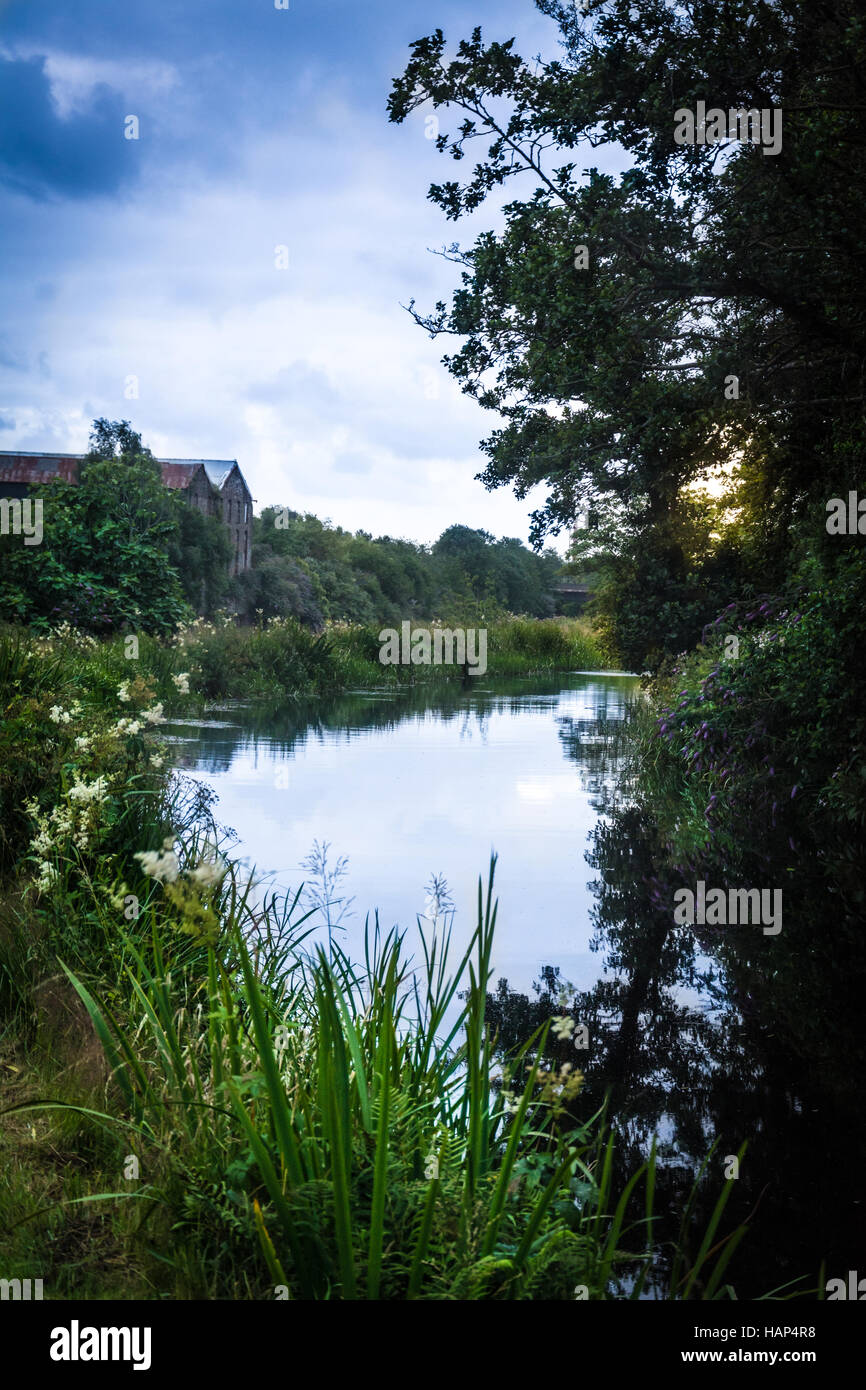 Canal peu profond par torsion des arbres et l'herbe ciel orageux, reflet dans l'eau Banque D'Images