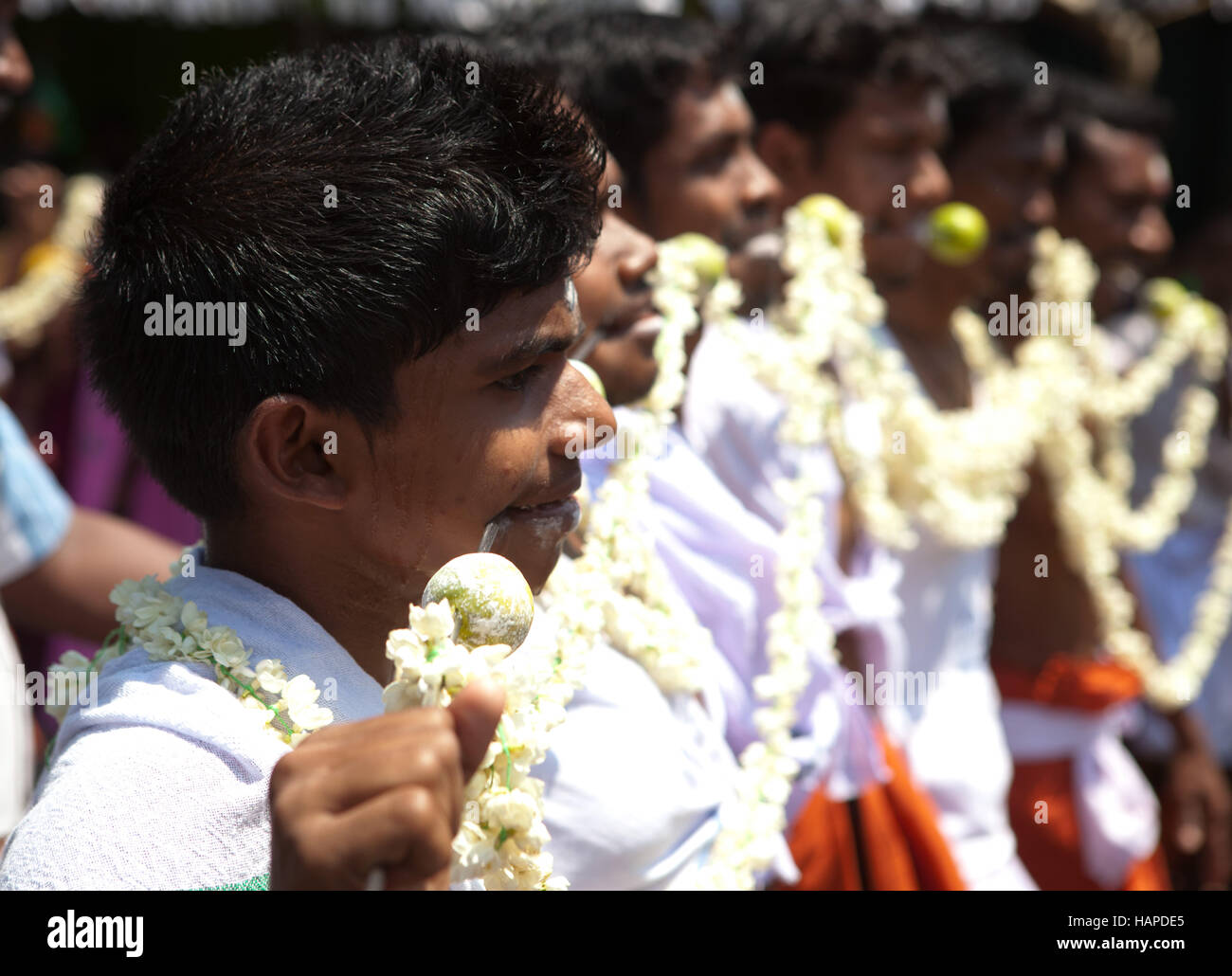 Thaipusam ou Kavady Poosam thaïlandais Festival près de Kochi, Kerala, Inde. Banque D'Images