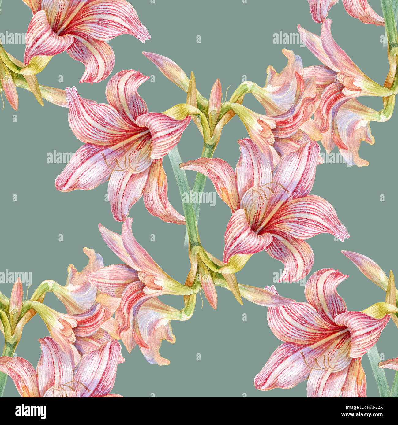 L'aquarelle de fleurs, motif transparent Banque D'Images