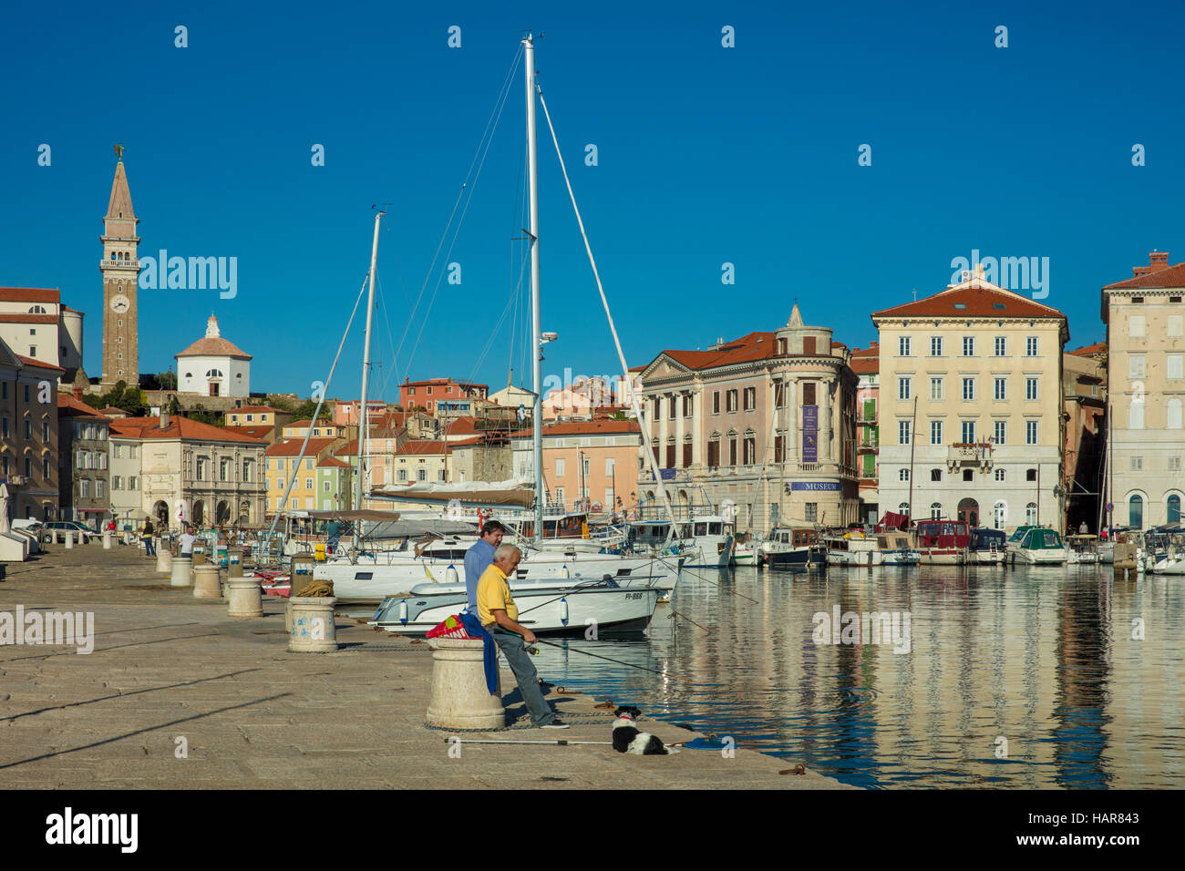 Deux hommes la pêche au quai à Piran, Slovénie Primorska, Banque D'Images