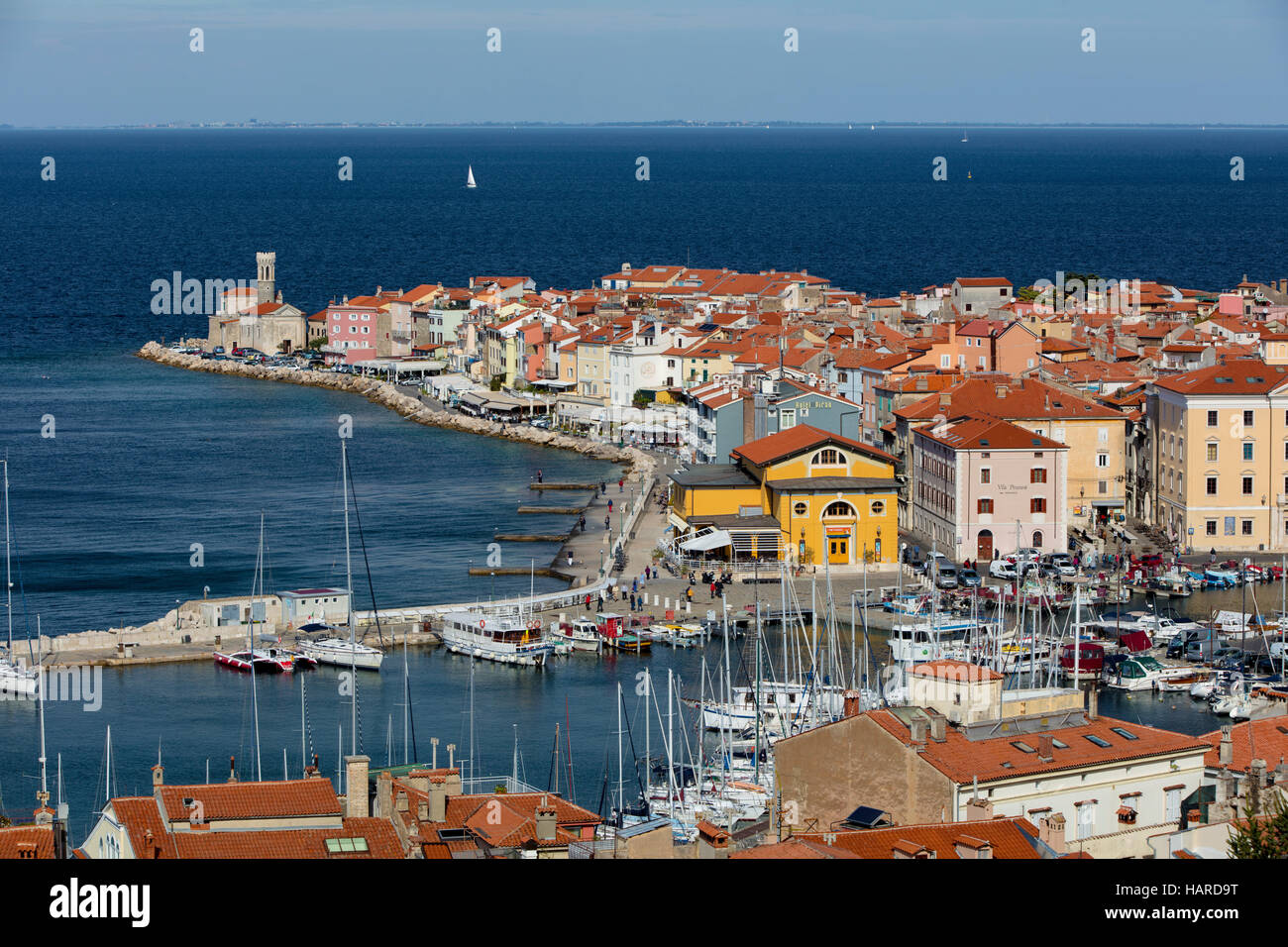 Matin, vue sur la vieille ville de Piran, Slovénie Primorska, Banque D'Images