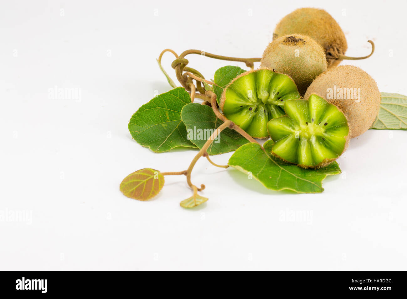 Fraîchement cueilli et de tranches de kiwi avec branche et feuilles Banque D'Images