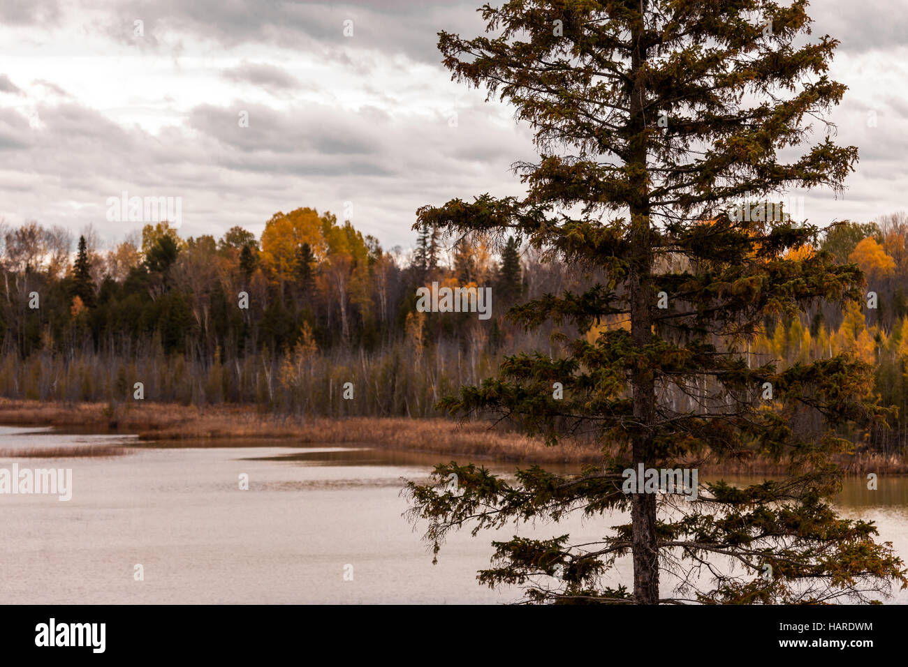 Scènes de la vallée de la rivière des Outaouais entre l'Ontario et du Québec au cours de l'automne. Banque D'Images