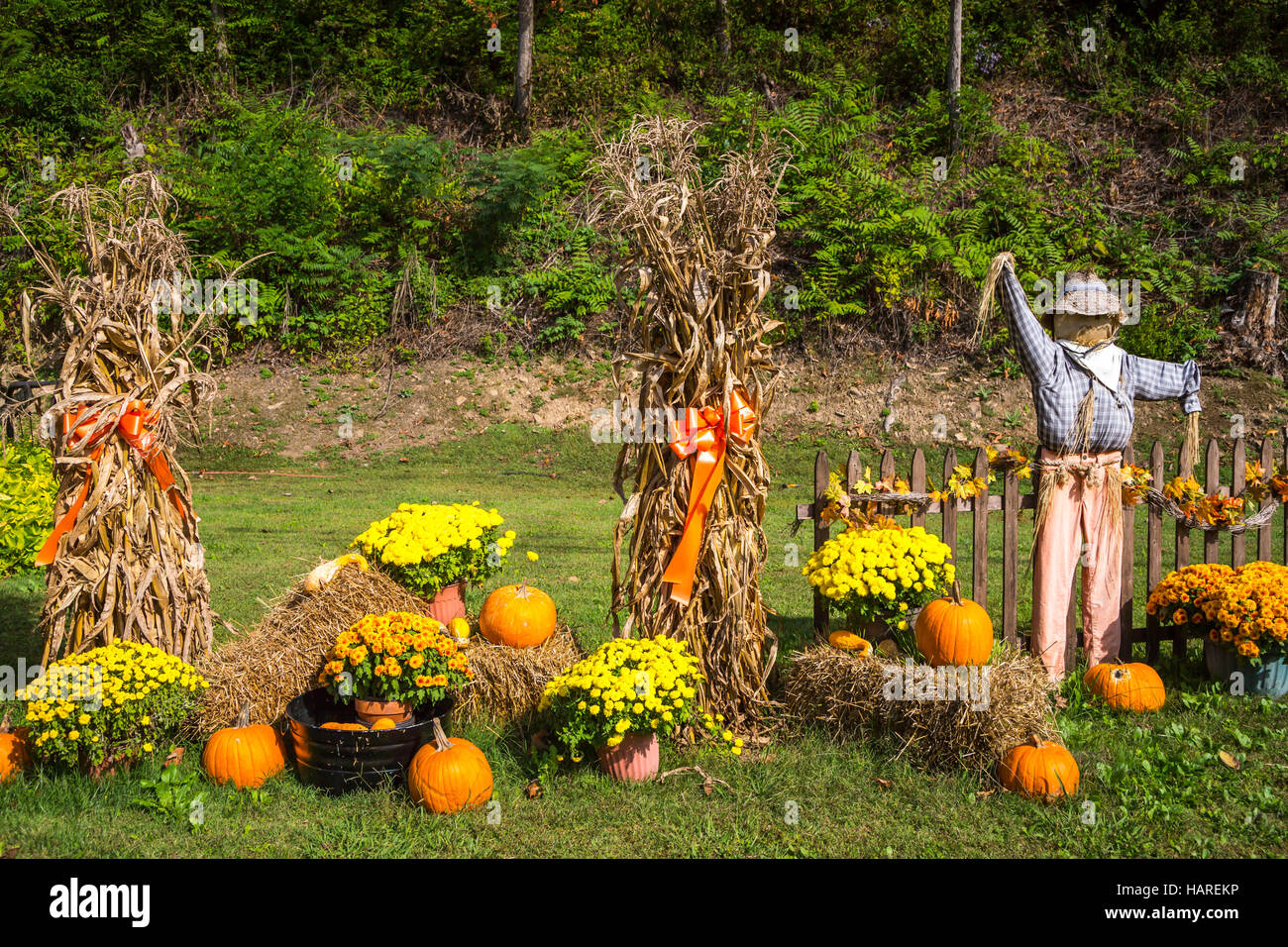 L'explosion d'une citrouille d'automne afficher près de Charleston, West Virginia, USA. Banque D'Images