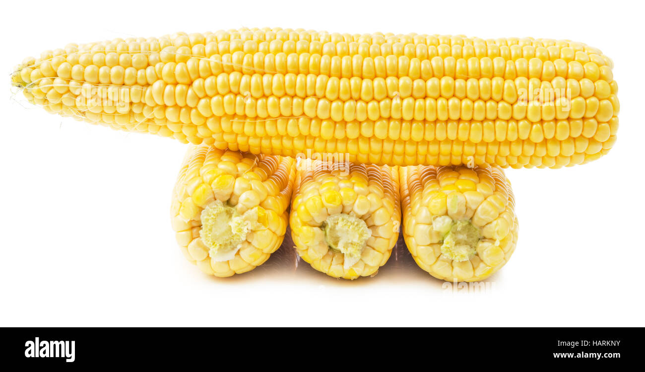 Matières premières fraîches corns en épi isolé sur fond blanc. Épis de maïs. Banque D'Images