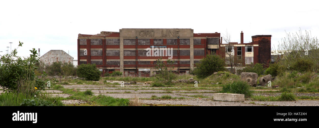 L'industrie de la pêche de la coque, bâtiments abandonnés, St Andrew's dock, Kingston Upon Hull Banque D'Images