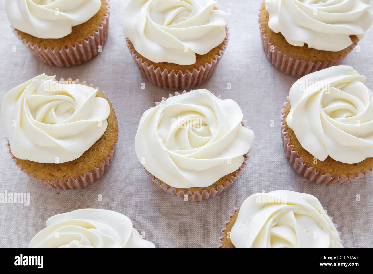 Cupcakes vanille fleur rose blanc Banque D'Images