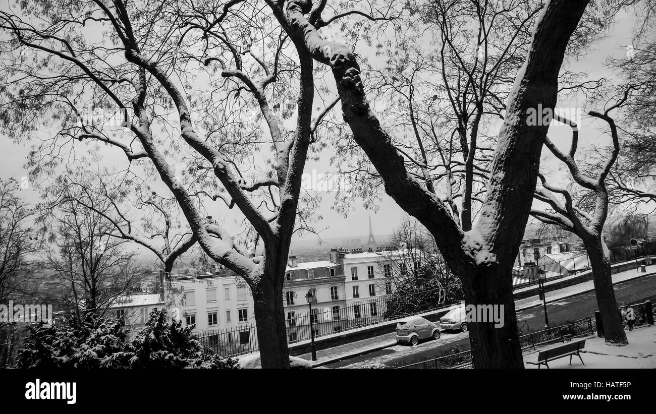 Scène d'hiver de Paris Banque D'Images