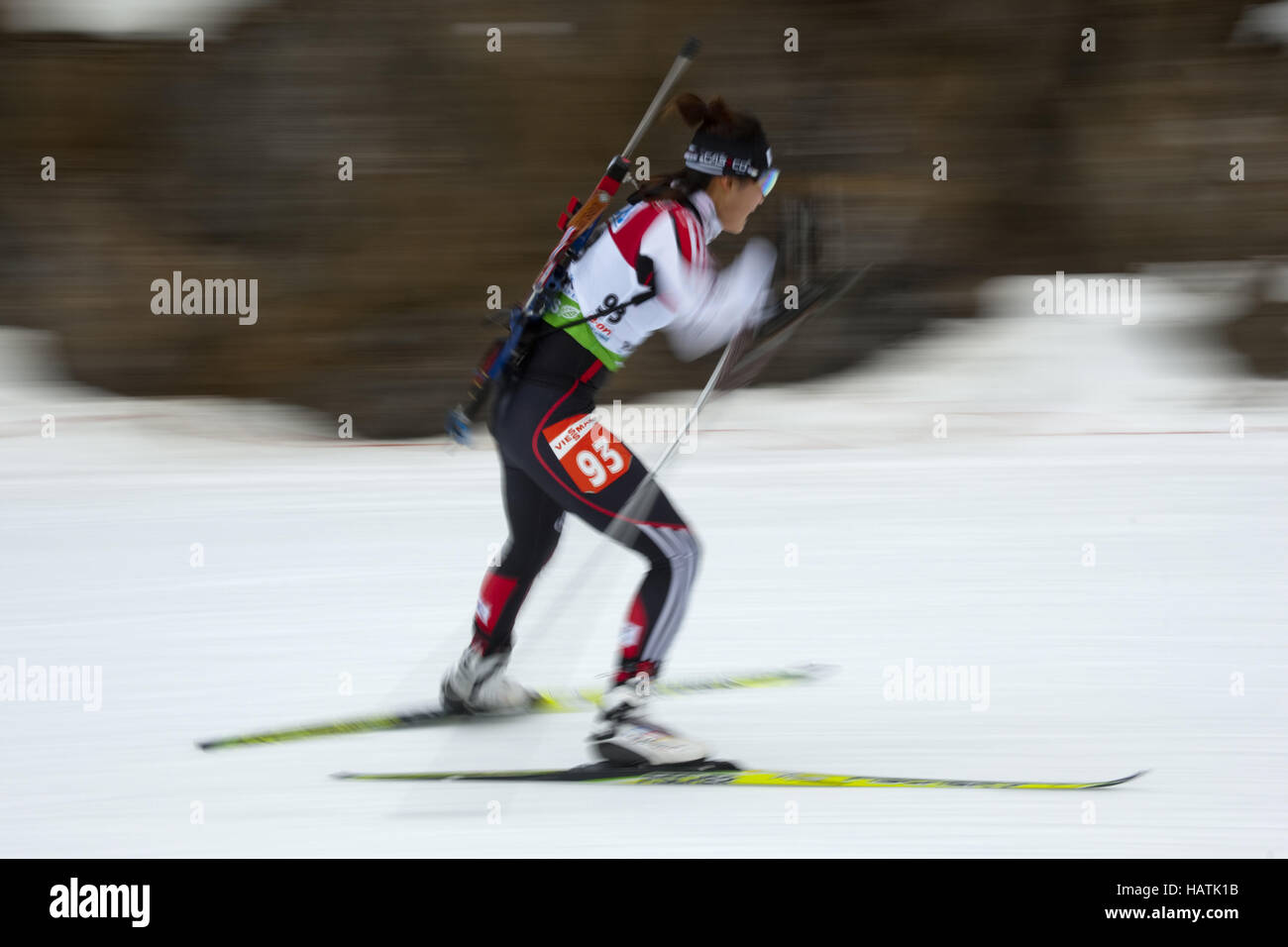 Le Biathlon : typique/Impression Banque D'Images