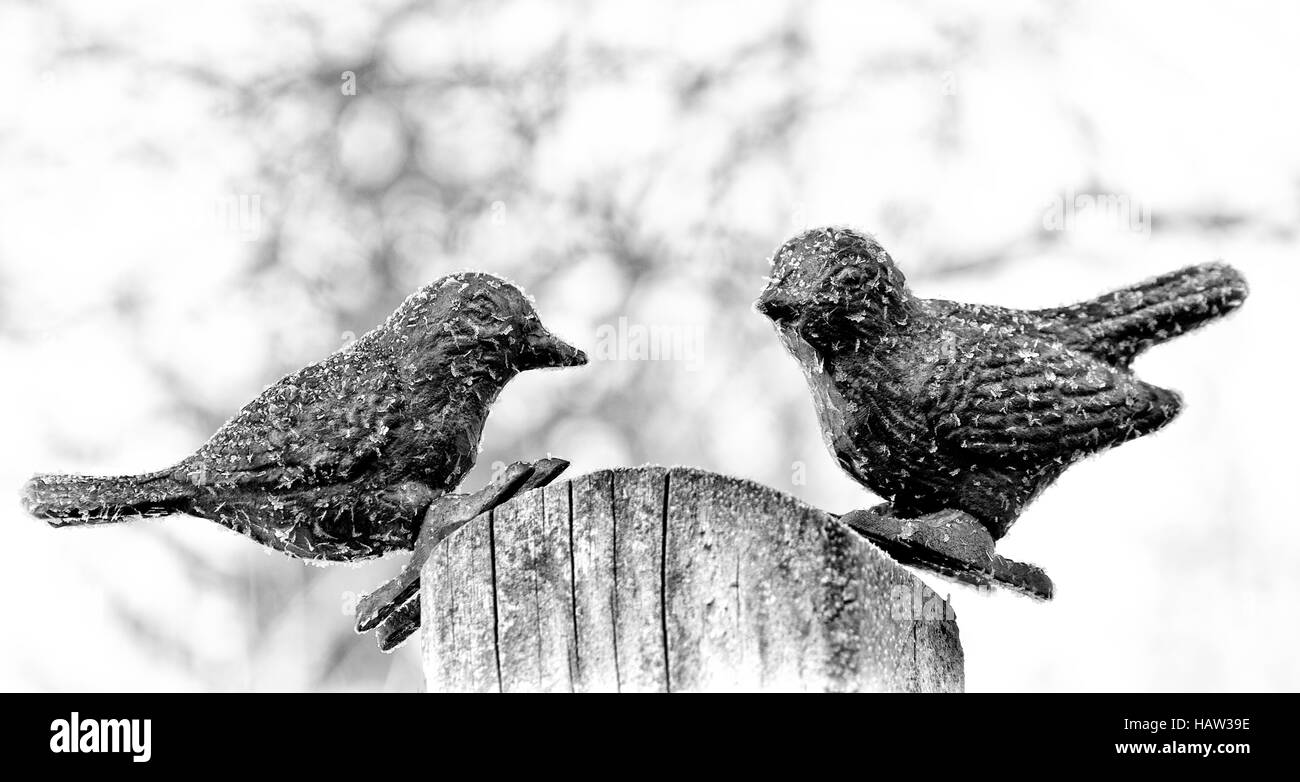 Icebirds Banque D'Images