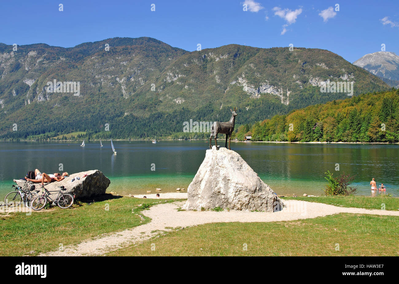 Lac de Bohinj, parc national du Triglav,Slovénie Banque D'Images