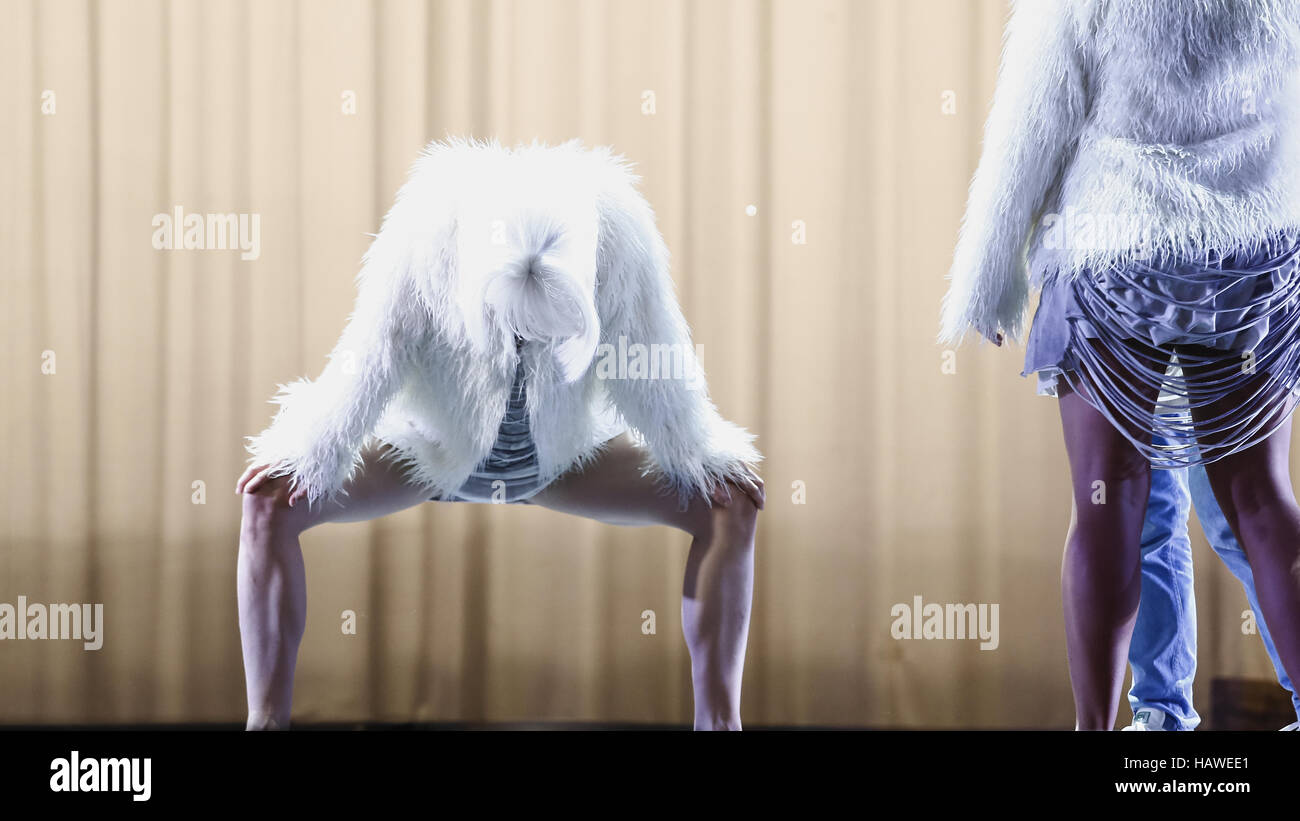 SWAN LAKE RELOADED - Photocall Banque D'Images
